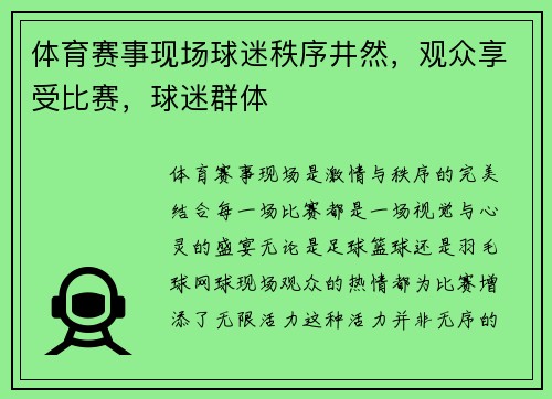 体育赛事现场球迷秩序井然，观众享受比赛，球迷群体